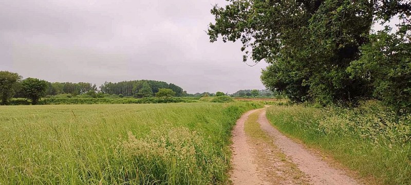 Chemin d'exploitation sur le plateau | Lanmeur