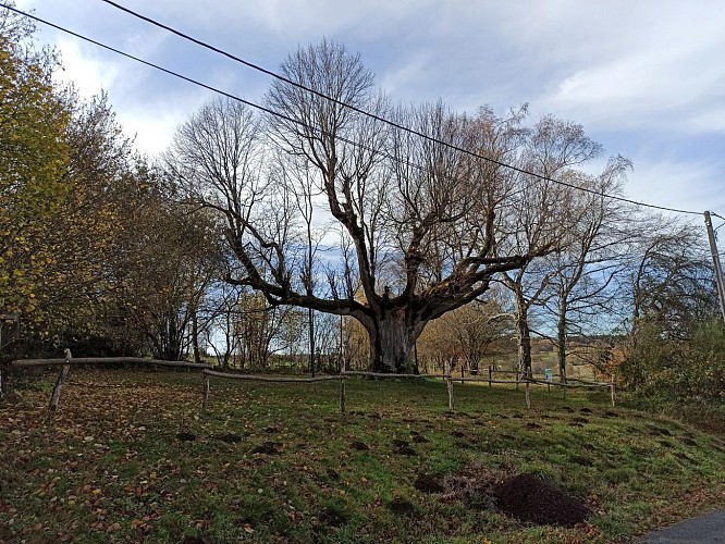 Randonnée VTT A la mémoire du temps