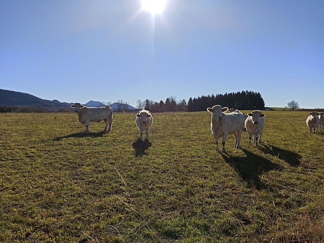 À la mémoire du temps_Pulvérières