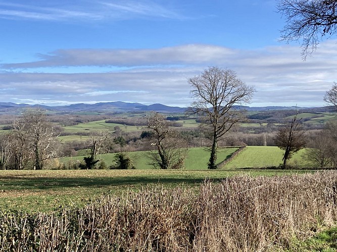 Avree panorama