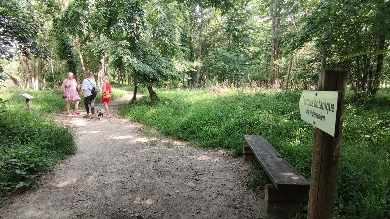 The botanical trail of Widensolen