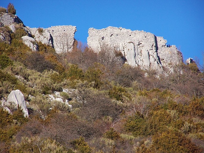 Les ruines du Castellaras_Andon