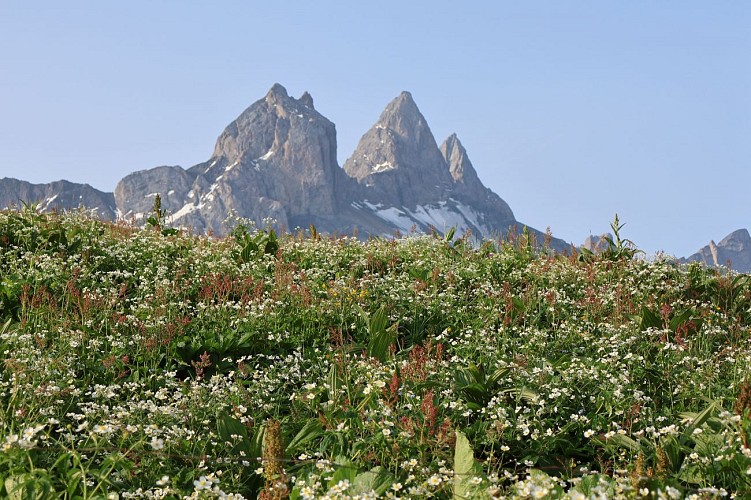 Agiuilles d'Arves depuis le Chalet d'la Croë