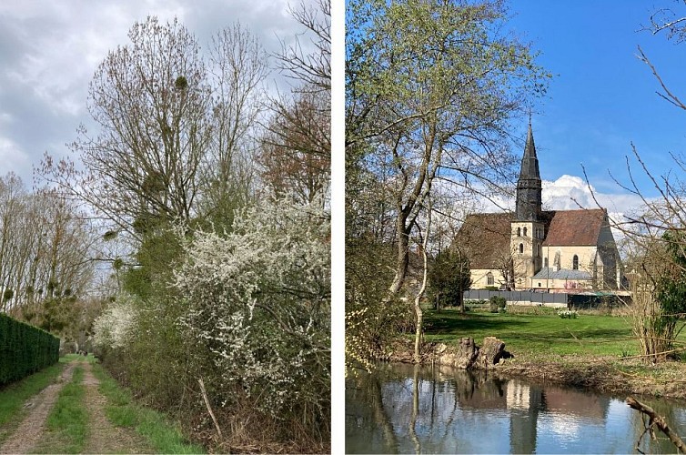 Triguères_Courtoiseau