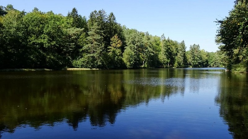 Etang de Hasselfurth