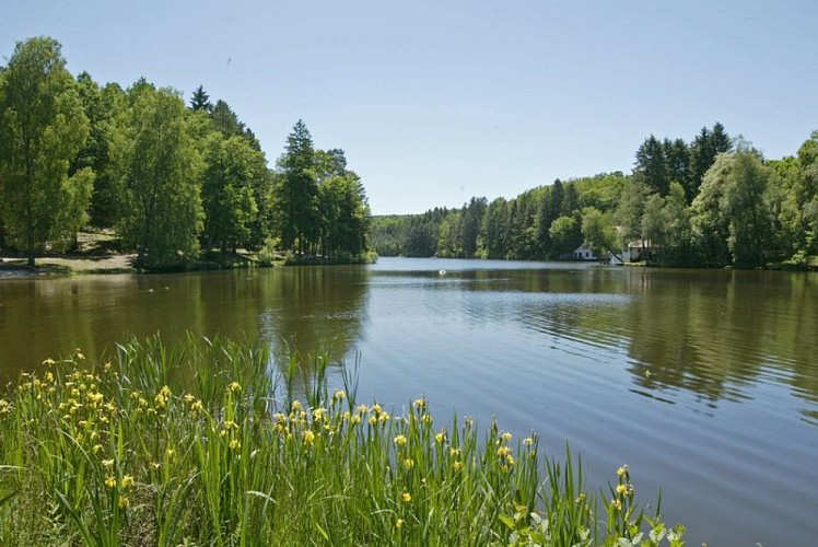 Etang de Hasselfurth