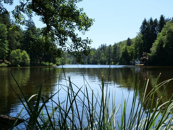 Etang de Hasselfurth