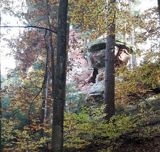 Luchsfelsen à Sturzelbronn