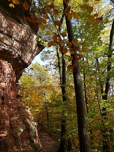 Rocher Altchlossfelsen