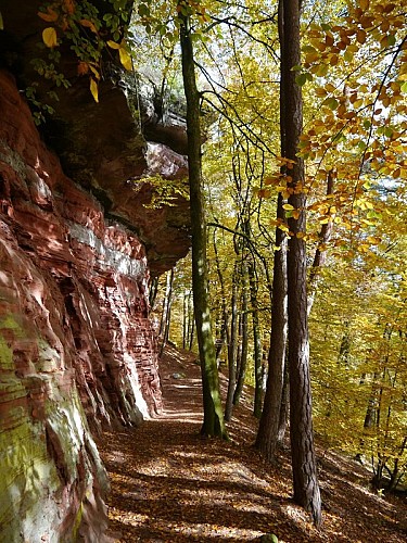 Rocher Altchlossfelsen