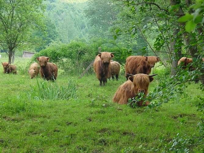 Prairie de Vaches Highland