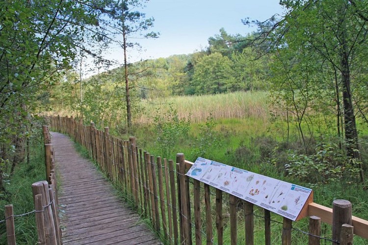 Panneau pédagogique le long du sentier