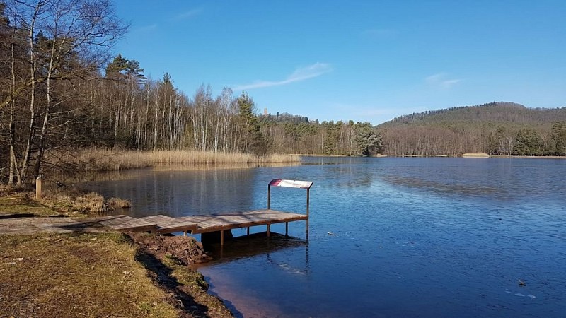 Etang de Hanau