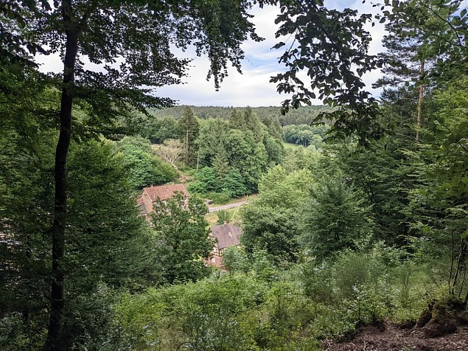 Vue sur le village de Jaegerthal