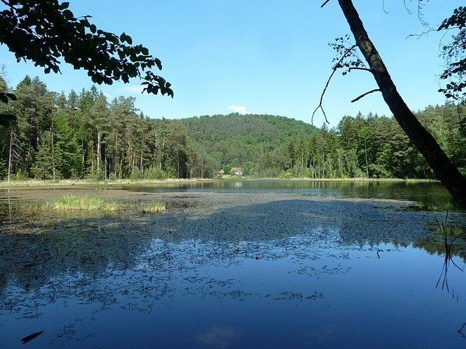 Etang Kobert Bas