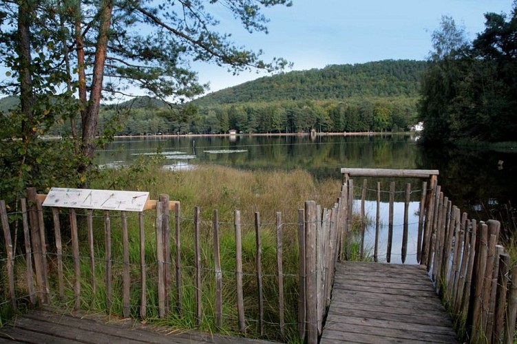 Etang de Hanau