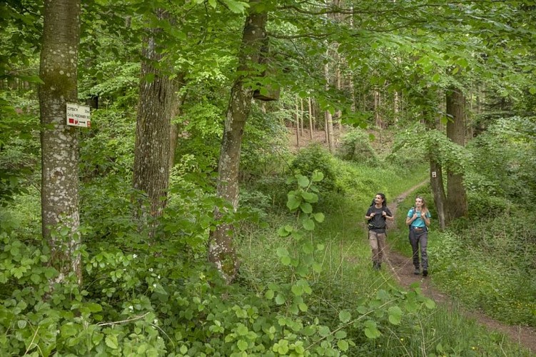 Sentier du GR53