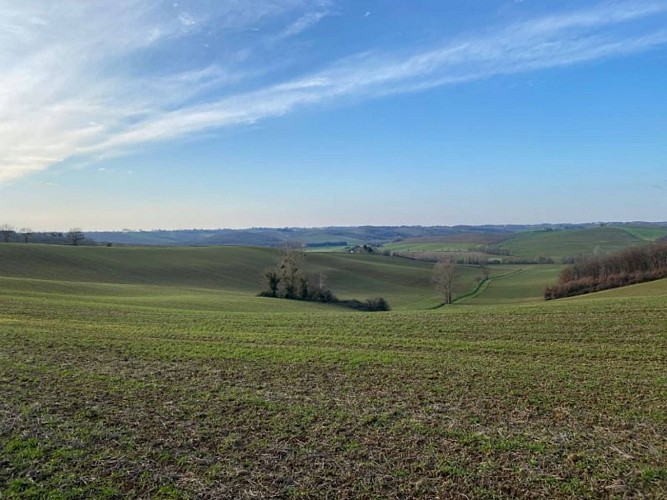 Circuit VTT 1 Rabastens par les chapelles