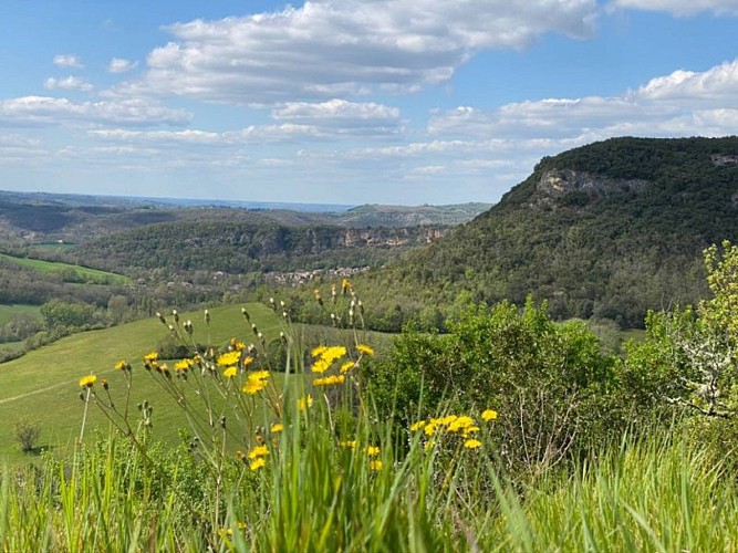 Mountain Bike Route 8: Grand Tour of Grésigne