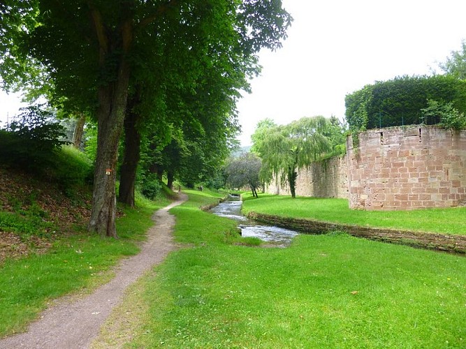 Longer la Lauter sur ce chemin.