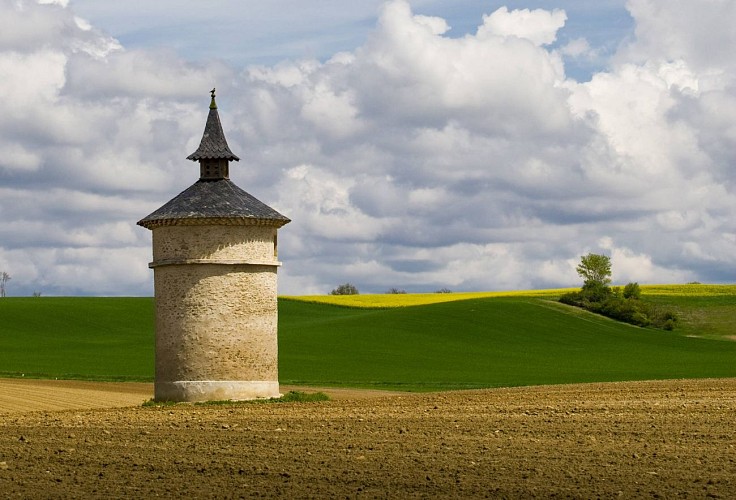 La boucle de l'Agout à Fréjeville
