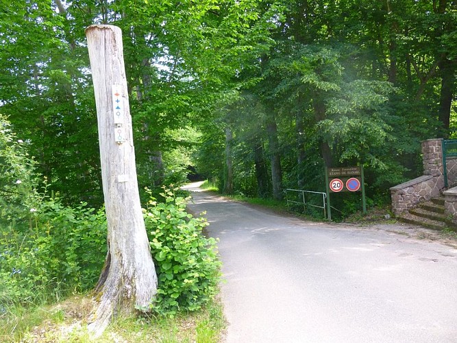 Le début de la promenade