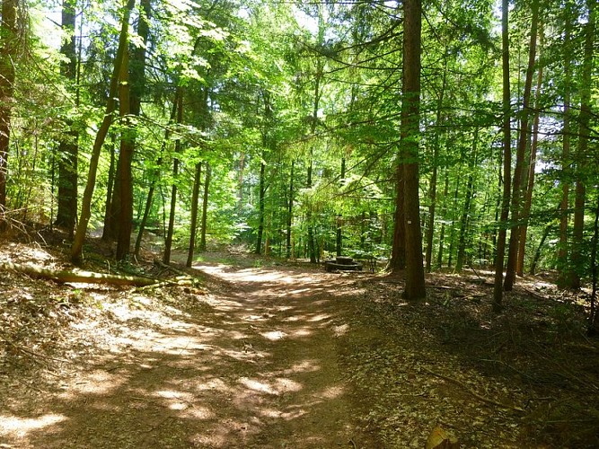 À droite, une table de pique-nique taillée dans le grès