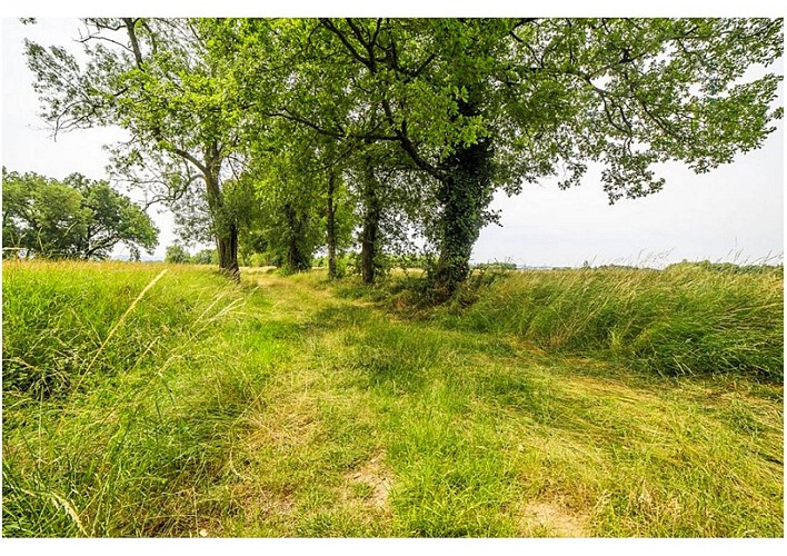 Le circuit des plateaux