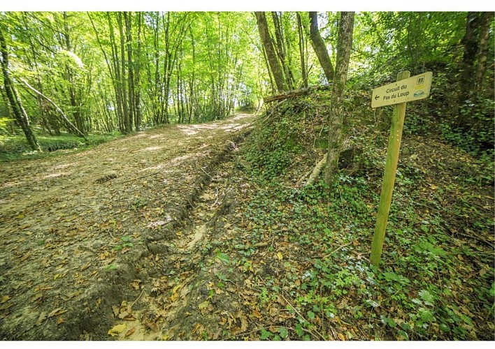 Le circuit du pas du Loup