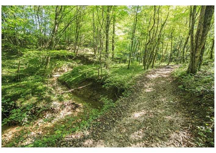 Le circuit du pas du Loup