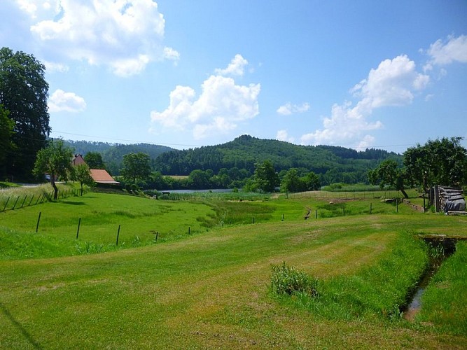Au niveau du petit étang de pêche, belle vue sur l'étang de Baerenthal et la montagne derrière
