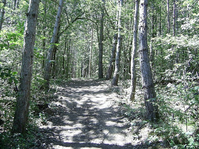 Le sentier de Saint-Sébastien