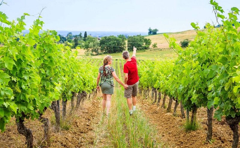 Oenorando® Le chemin de Pompirac
