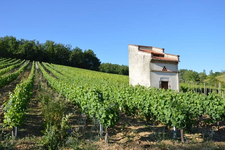Oenorando® Vignes & clochers