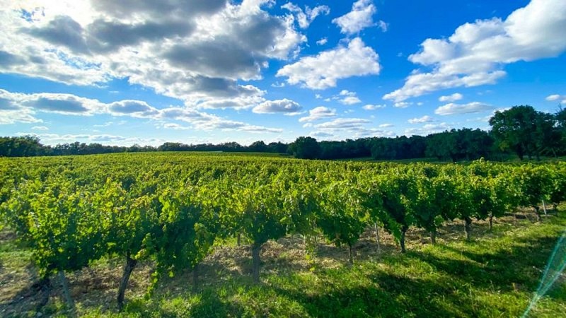 Oenorando® Vignes & clochers
