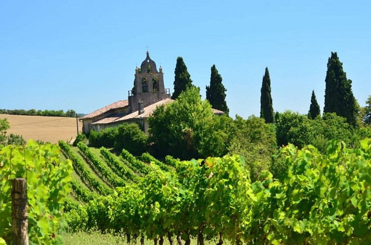 Oenorando® Vignes et clochers