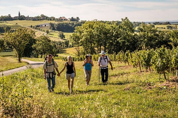 Vignoble et châteaux