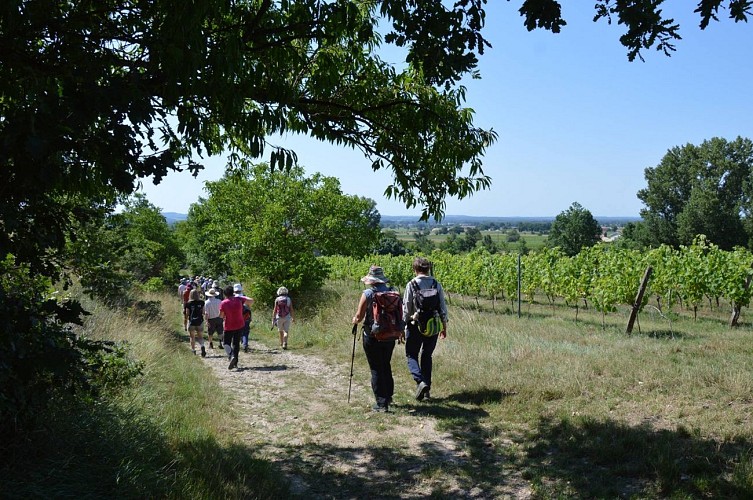 Oenorando® Sentier de la Sigillée