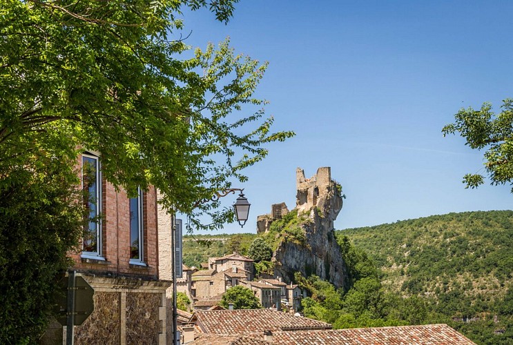 GR de Pays Castelnau-de-Montmiral - Penne ®