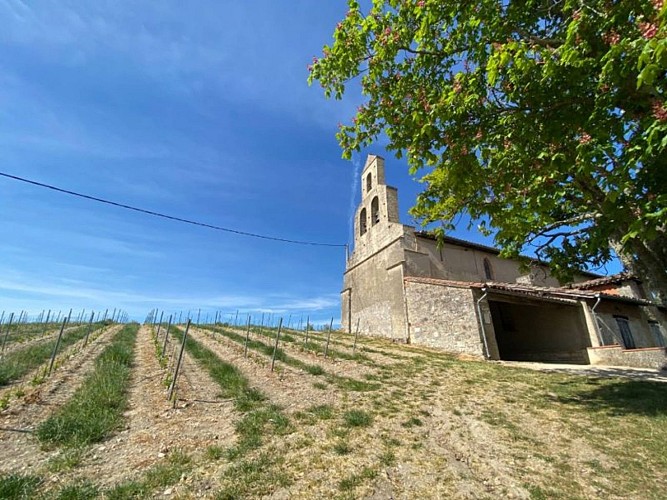 Circuit VTT Grande Boucle Bastides et Vignobles du Gaillac
