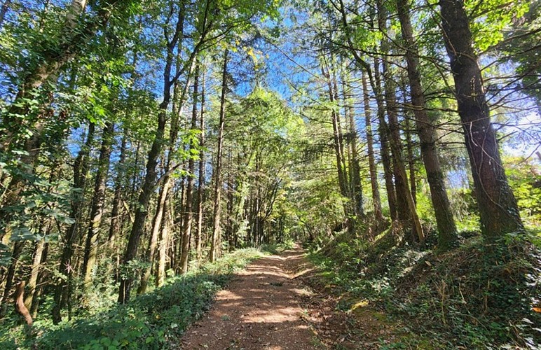 La vallée de la Blaze