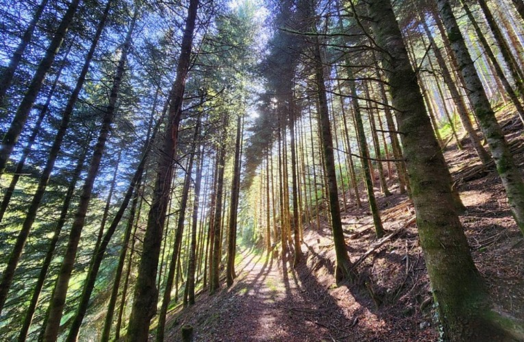 La vallée de la Blaze