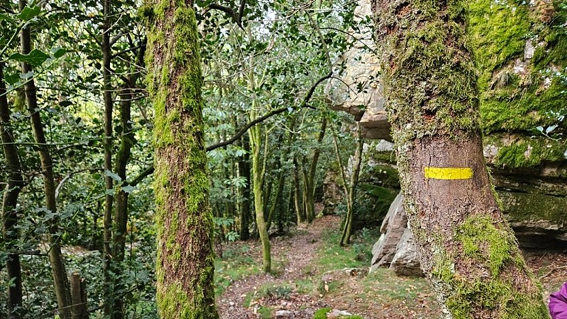 Le sentier de Mont'4 Roc