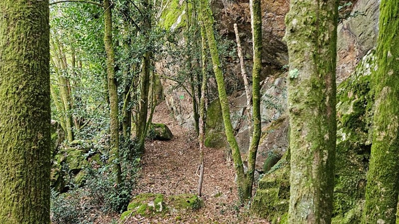 Le sentier de Mont'4 Roc
