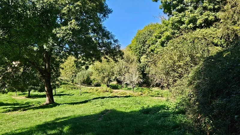 Sentier de Massalgues