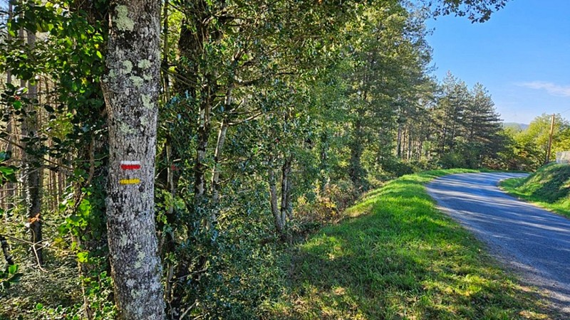 Sentier de Massalgues
