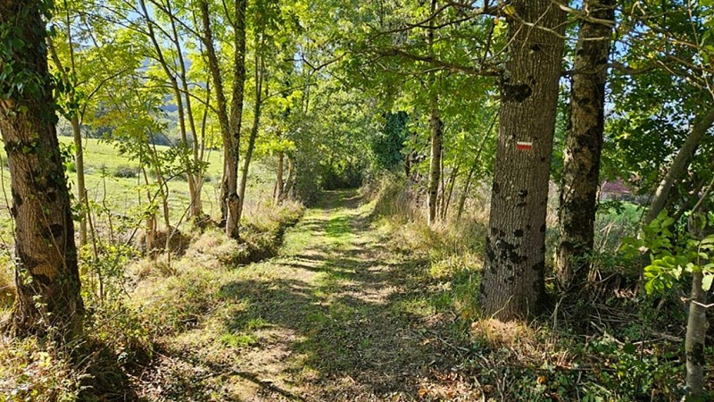 Sentier de Massalgues