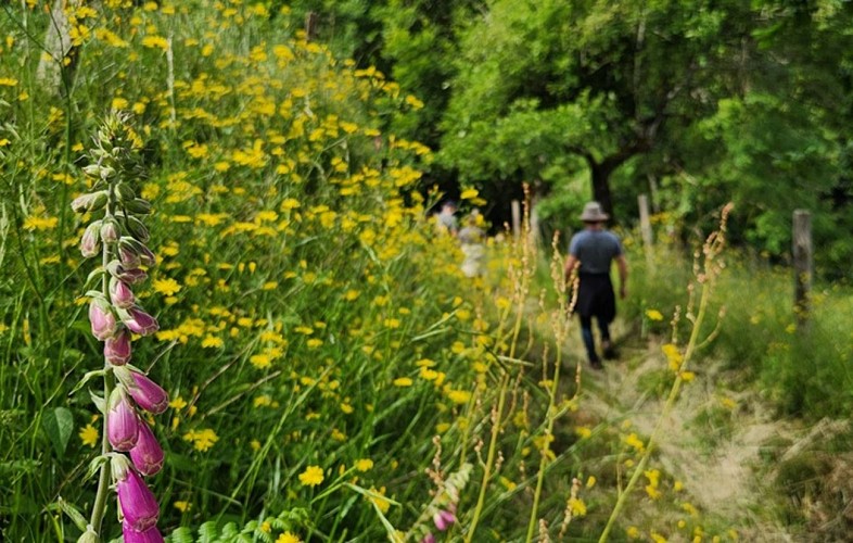 Sentier des Rives