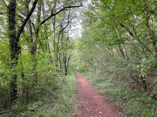Sentier des dunes de Maraval aux Touardes