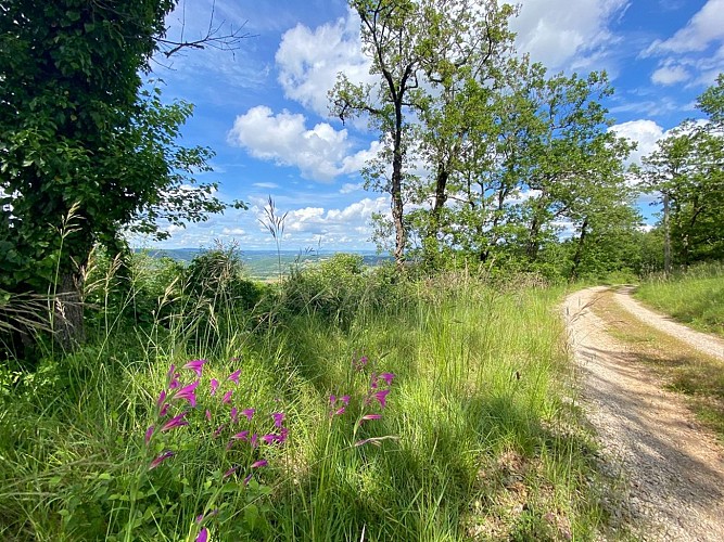 Sentier des dunes de Maraval aux Touardes